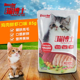 初入行宠物食品类目主图设计指南 从新手到专业