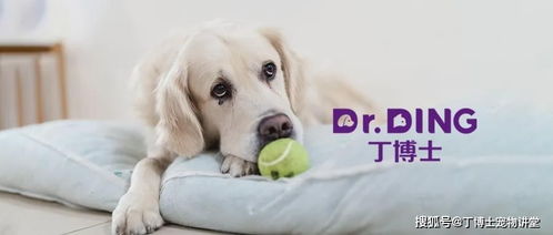 植物性蛋白与单细胞蛋白 宠物食品原料的新兴力量