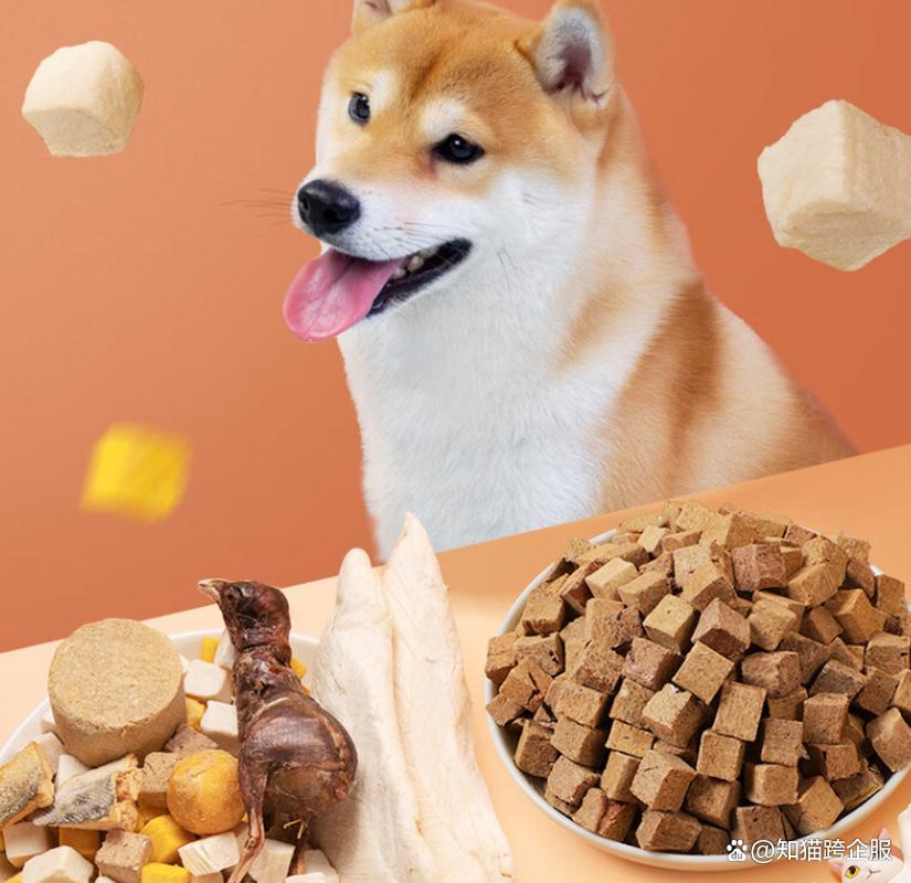 泰国宠物食品市场崛起!泰国市场注册攻略及核心要点解锁 宠物食品