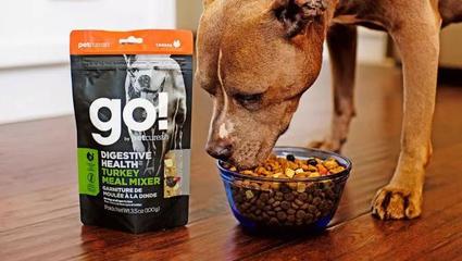 精彩创意设计——宠物粮食品类新趋势