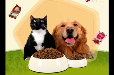 宠物零食 | 小可爱的饮食问题不容轻视 宠物食品